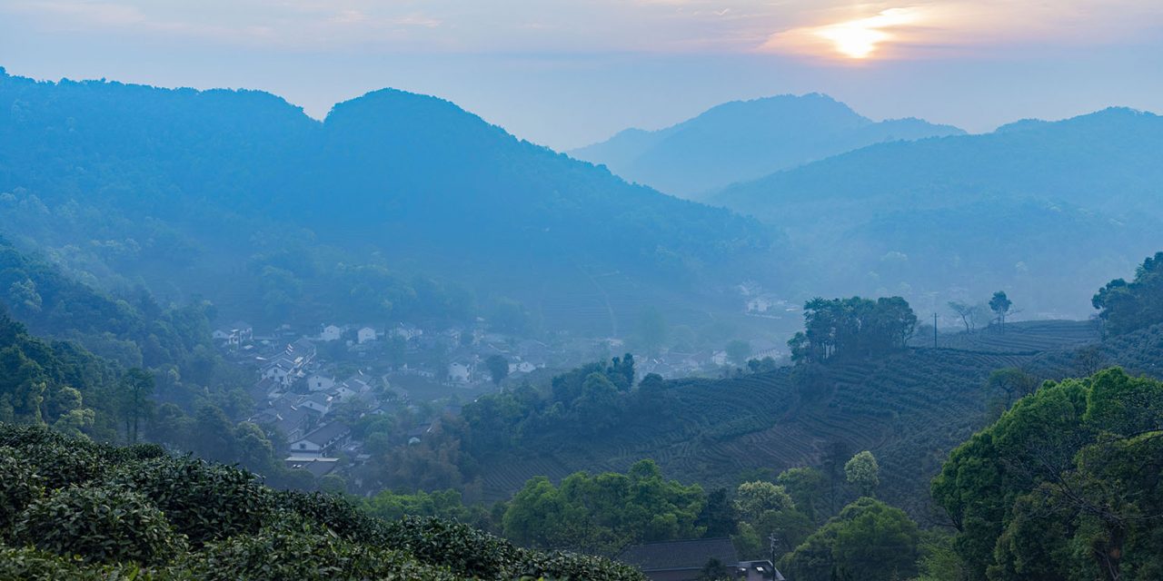 [Outbound]: Longjing Village, the Holy Land of Green Tea