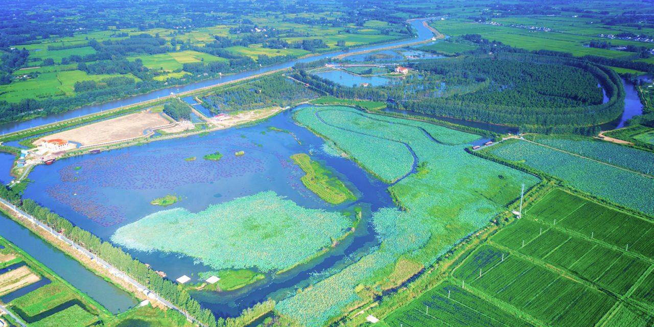 [Outbound]: Chishan Lake National Wetland Park