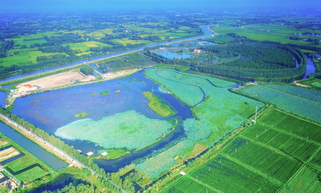 [Outbound]: Chishan Lake National Wetland Park